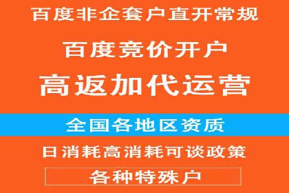 揭秘SEM竞价托管：实战案例深度解析